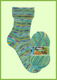 Opal Sock Yarn 'Our Favourite Place' 4 Ply.