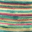 Chaska Sky Collection Sock Yarn 4 Ply.