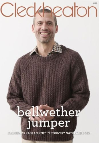 Cleckheaton Pattern 1025 Bellwether Jumper.