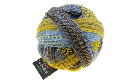 Zauberball Crazy 4 Ply.