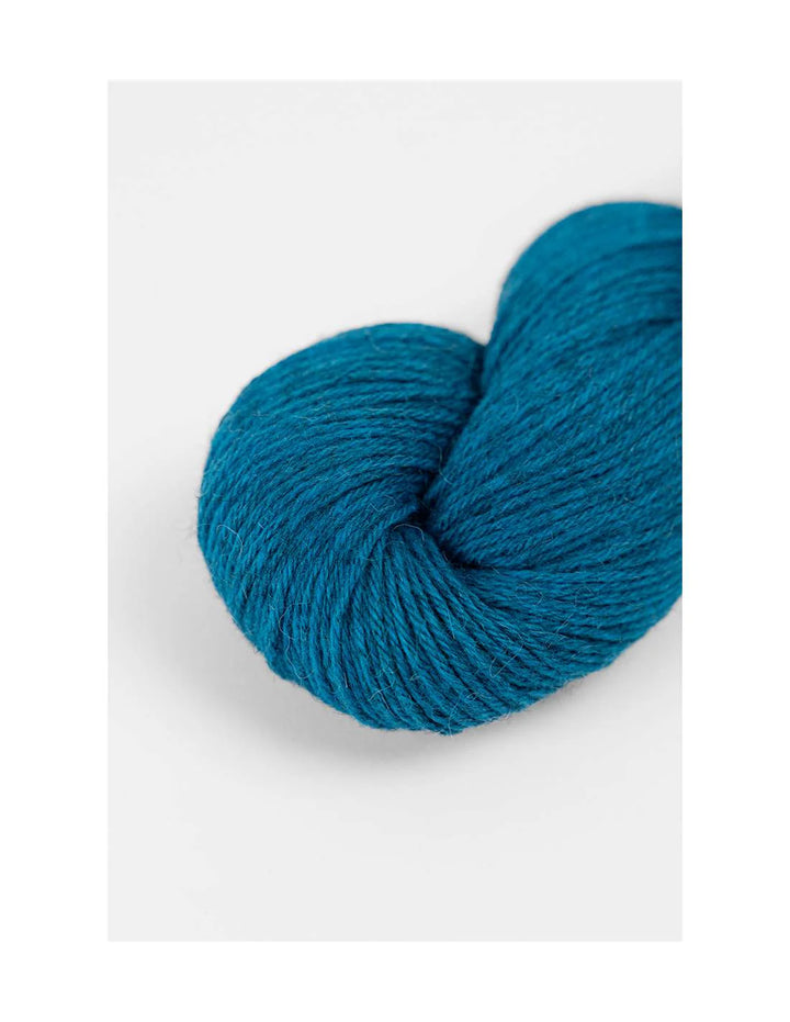 Cloud Top by Petite Knit top in Cotton/Alpaca