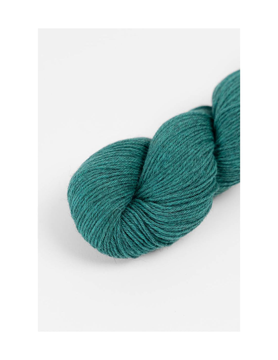 Amano Duna Cotton with Alpaca 4 Ply.