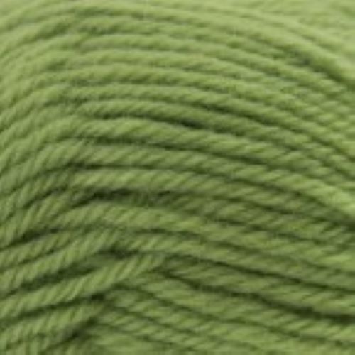 Naturally Loyal 8 Ply NZ Wool.