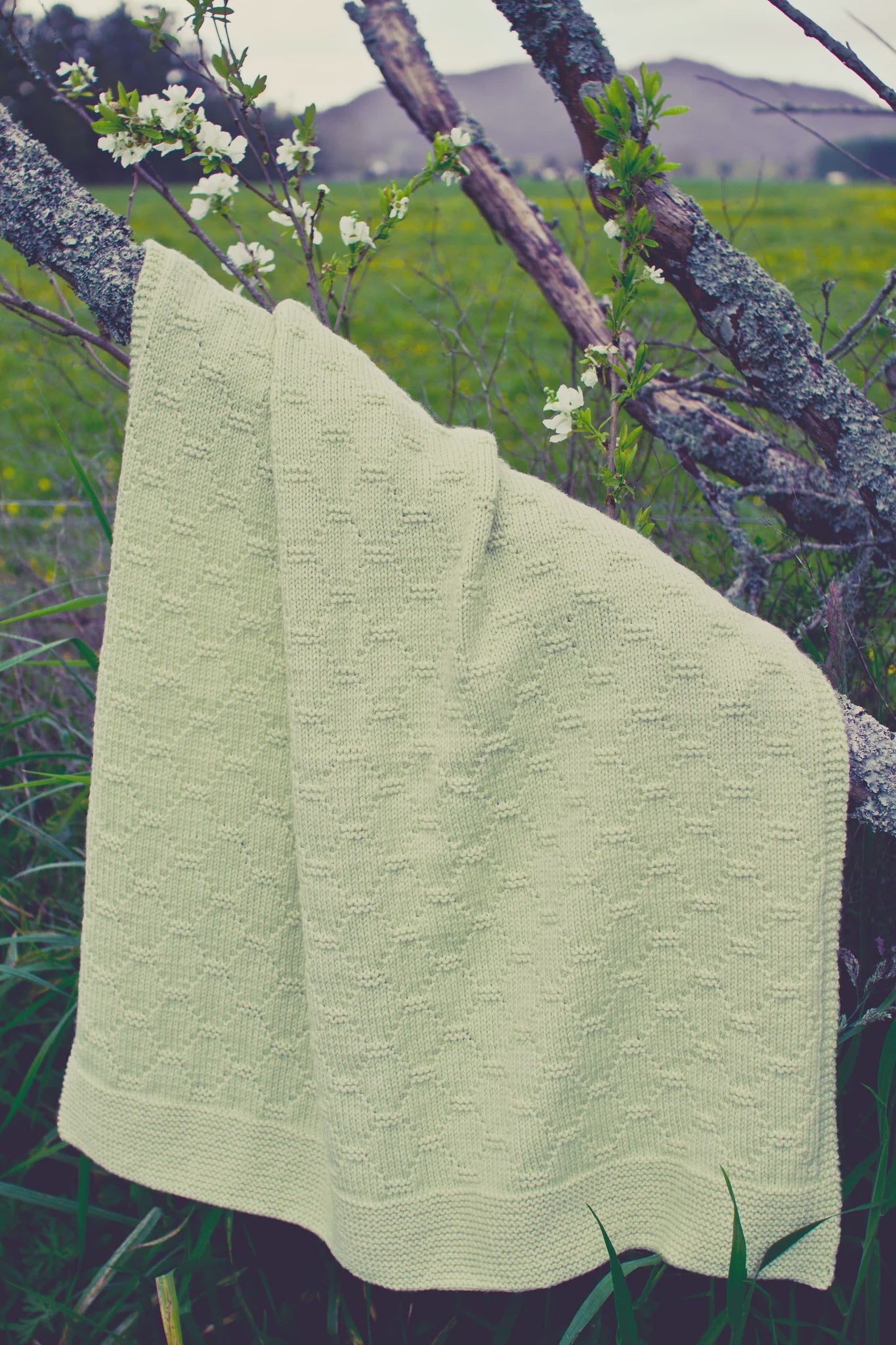 Baby Cakes Bc42 Mosaic Blanket.