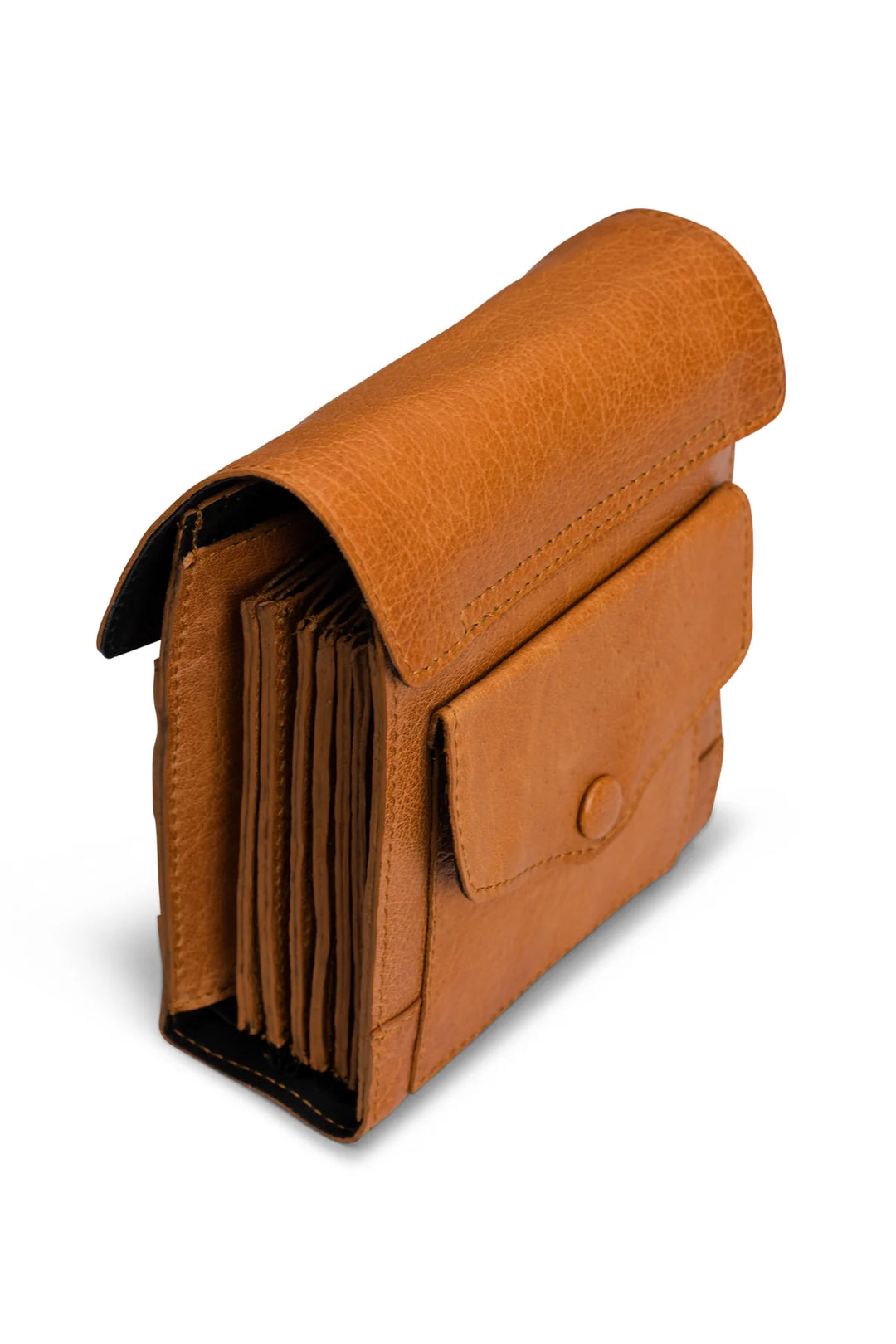 Betina Needle Leather Case