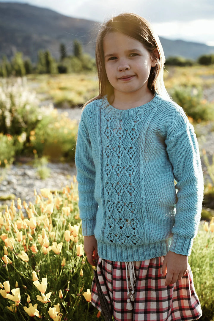 Little Cupcakes LF34 Amika Joy - (8ply Child)