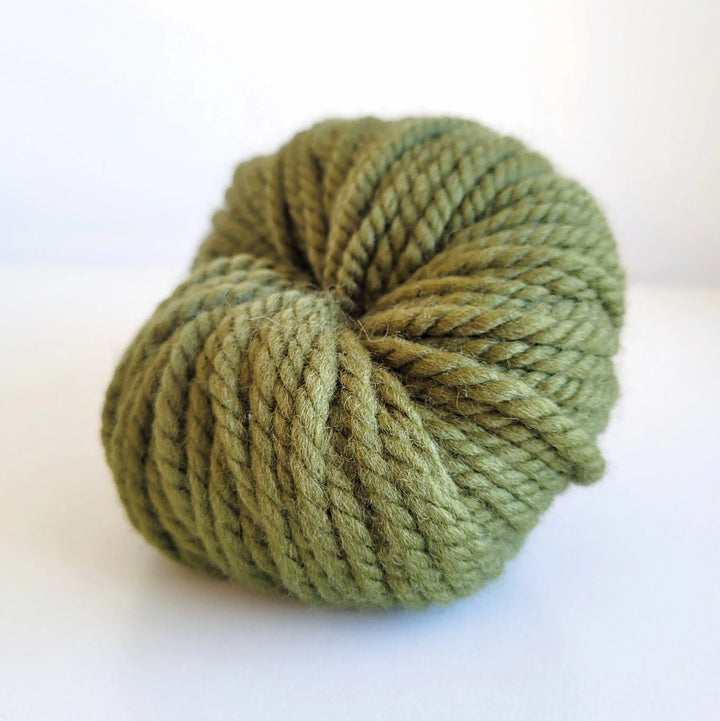 Green skein of yarn on a white background -  The Wool Shop NZ