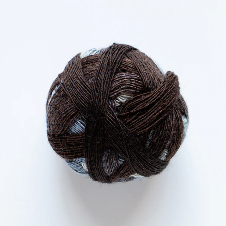 Zauberball 100 4 Ply Merino.