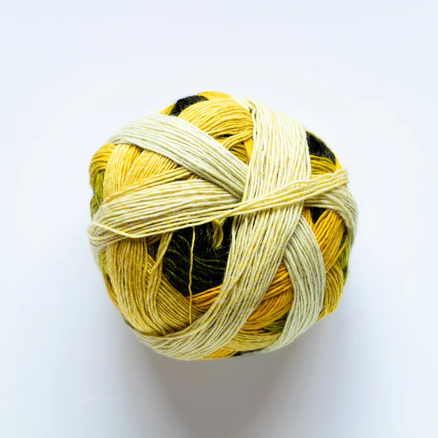 Zauberball 100 4 Ply Merino.