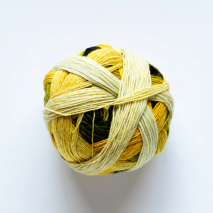 Zauberball 100 4 Ply Merino.