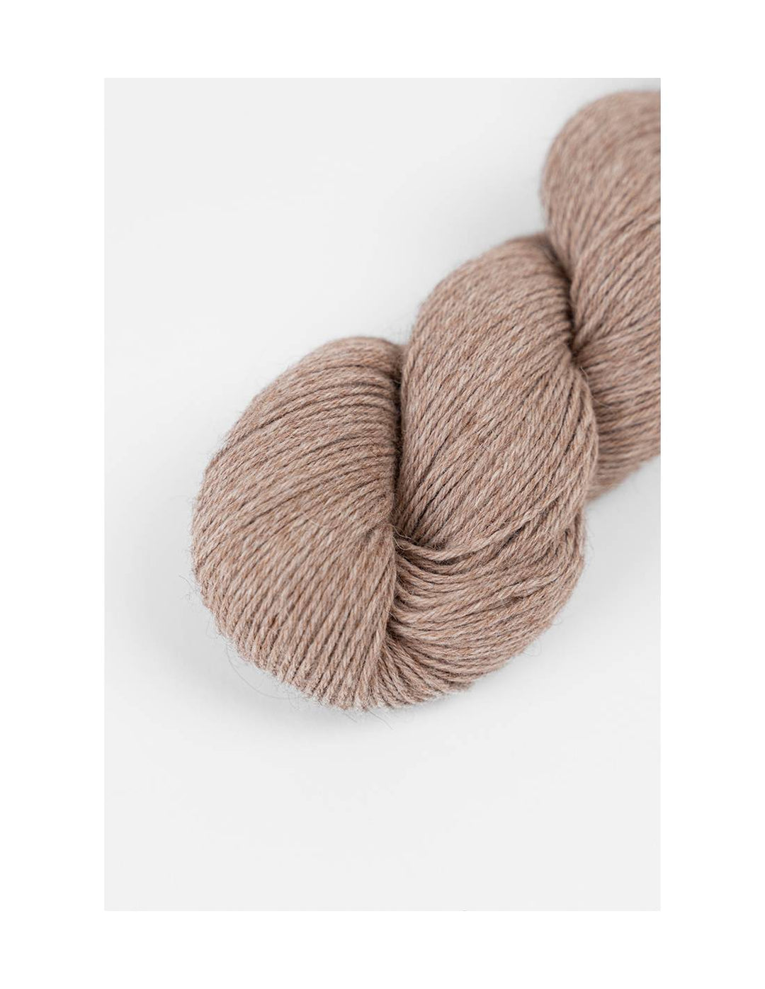 Cloud Top by Petite Knit top in Cotton/Alpaca