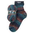 ~Opal 4 Ply Sock Yarn Black Dragon 2 Fantasy Island