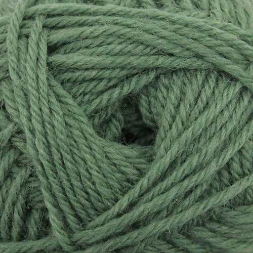 A close up of green Broadway Purely Wool DK 8 Ply yarn